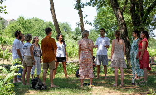 Circle Song aux Euphoribes 2025 — chant participatif animé par Damien Wautelet