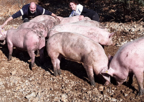 Ferme des 2 Sources